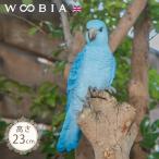 オウム 置物 ガーデニング 雑貨 ガーデン オーナメント オブジェ 〔 犬 猫 庭 ペット WooBia