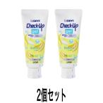 ライオン　チェックアップジェル  バナナ　本体 60g  2個セット