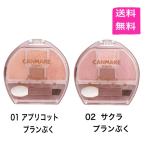 送料無料　キャンメイク　プランぷくコーデアイズ（全2色）01 アプリコットプランぷく・02 サクラプランぷく［限定］