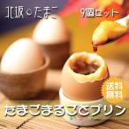 ショッピングお取り寄せ (洋菓子 プレゼント ギフト)北坂たまごの「たまごまるごとプリン」9個入り(スイーツ お取り寄せ たまごプリン 送料無料)お中元　お歳暮