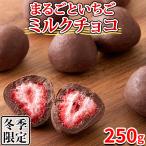 【最短当日出荷】 イチゴチョコ 個包装 チョコレート バレンタイン ばらまき ギフト ミルクチョコ いちご 苺 チョコ 訳あり スイーツ 大量 洋菓子 常温 250g
