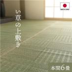 ショッピングい草 い草カーペット 上敷き 本間6畳 約286×382cm 純国産い草 格子柄