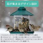 バードフィーダー バードウォッチング 野鳥 給餌器 餌場 えさ台 自動供給 庭 ガーデン 吊下げ おしゃれ グリーン