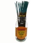  America. аромат WILD BERRY wild Berry Ocean окно море способ все 40 вид 