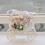ダッフィーシェリーメイ 結婚祝い 結婚式 プロポーズ 記念日 かぼちゃの馬車 ウエディング ギフト プレゼント ぬいぐるみセット gift-163