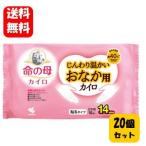 [ бесплатная доставка ] жизнь. . Кайро .... теплый ... для Кайро 14 час 10 штук ×20 пакет комплект .... теплый длина час поддержка! Kobayashi производства лекарство жизнь. . Кайро прикленить модель 