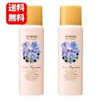 【送料無料】フェルナンダ ヘアフレグランス マリアリゲル 80g×2本セット 【正規品】フェルナンダシリーズ フェルナンダ マリアリゲル 香り FERNANDA 髪の毛