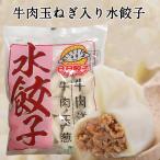 水餃子 国産 日日牛肉洋葱(牛肉玉ねぎ)水餃 600g 約30個入 もちもち厚皮 中華水餃子 日本国内加工 冷凍ギョウザ