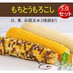 モチとうもろこし（5点セット）真空パック 調理済み  白糯玉米、黄糯玉米と彩糯玉米３種類あり 温めるだけ 中国産 x11342　x11343 x11344