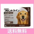 C【メール便・送料無料】犬用 フロントラインプラス L(20〜40kg未満) 6本 ※なくなり次第終売