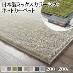 ホットカーペットカバー 2畳(200×200cm) ホットカーペット本体&カバーセット ミックスカラー 洗える おしゃれ