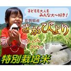 新米予約26年産特別栽培米さがびより★玄米10kg九州佐賀県精米可