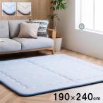 (タイムセール中) ラグマット 厚手 夏用 190×240cm ひんやり 接触冷感 カーペット