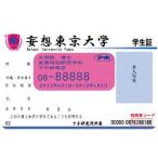 くだらなライセンス　妄想東京大学　ライセンスカード　パーティーグッズ　おもしろグッズ　ネタアイテム