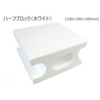 発泡スチロール ハーフブロック (ホワイト)（100×190×195mm）  19cm 19.5cm DIY 木材