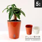 ka... цветочный горшок посадочная машина автоматика водоснабжение полив не необходимо горшок 5 номер огород садоводство декоративное растение растение в горшке вода получить не необходимо Brown 