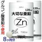 亜鉛 サプリメント 120日分×２袋 1日1粒 男性 女性 エイジングケア 子供 妊活 zinc Zn アエン 二日酔い ネイルケア スカルプ 大切な亜鉛