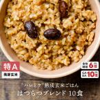ハレとケ熟成玄米ごはん はつらつ