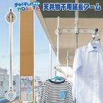 （新）天吊物干用補助アーム チョイ干しHOSETA 1箱【送料込】一部除く 背の高い天吊り物干し用 ベランダ物干しに 1箱2本入り シルバー タカラ産業LH50