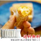 宝月堂 西山の御家宝 約25g × 7本入 茨城県名物 餅米 砂糖 水あめ きな粉 出産内祝い 結婚式 法事 快気祝い お返し お中元 お歳暮 敬老の日