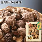  Kyushu производство .....SE5-308-4 внутри праздник .. праздник . брак праздник . обе родители 