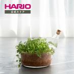  посадочная машина ... полив контейнер 50mL 200mL HARIO RELAXING сделано в Японии жаростойкий стекло декоративное растение треугольник колба пробка интерьер модный подарок HARIO сирень расческа ng официальный 