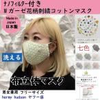 ナノフィルター付Wガ�