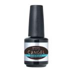 [ возможность слежения талант почтовая доставка ]pli гель non вытирание прозрачный can гель non нагрев 14g PREGEL прозрачный гель местного производства гель ногти верхнее покрытие гель 