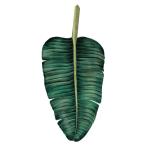 |. магазин распродажа | leaf украшение * banana tree Banana Tree - Equator [MIHO UNEXPECTED THINGS] wall декоративный элемент 