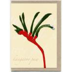  поздравительная открытка Kangaroo Paw кенгуру Poe [Mokoh Design] * почтовая доставка OK*