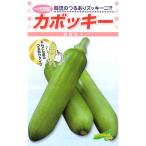 [ сосна .] овощи tane тыква вид kabo ключ (100 шарик )