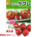 [4 месяц средний ~ последняя декада .. отправка начало предположительно!] средний шар помидор соболь 3 номер [1 АО ]9cm pot овощи рассада огород цветок . садоводство 