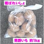  вид картофель семенной клубень ..... примерно 1kg мужчина ..... лошадь колокольчик .taneba Ray sho весна ..jagai современный shaku 