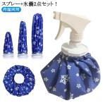 氷嚢 結露しない 氷嚢 氷のう スプレー＋氷嚢 ゴルフ スポーツ 持ち運び アイスバッグ 6インチ 熱中症対策 11インチ 9インチ 2点セット アイ