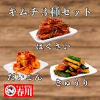 キムチ3種セット 白菜キムチ 大根キ