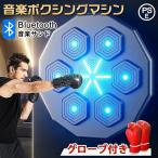 音楽ボクシングマシン スマート ディスプレイ付き 音楽ボクシングマシン 壁パンチングバッグ ボクシングトレーニングパンチング機器 スマート 家庭での運動