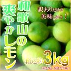 レモン 3kg(箱込約3kg) 国産 訳あり・ご家庭用 檸檬 送料無料(東北・北海道・沖縄県除く)