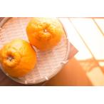 ショッピングデコポン デコポン（5玉）_Y406-050