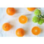 紅まどんな（5玉）Y425-050