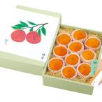 紅まどんな（10玉）Y425-100