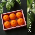 紅プリンセス（５−８玉）※３月上旬〜発送開始※_Y462-050