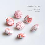 リバティ フェアリー�