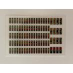 東京メトロ10000系方向幕インレタ　Fライナー急行/３色LED