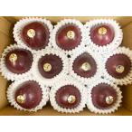 奄美大島産　パッションフルーツ　中玉Mサイズ　10玉　 無地白箱入り　送料無料 （東北・北海道・沖縄＋500円）