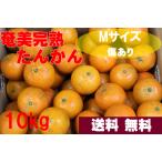  Amami Ooshima производство Amami ......10kg. для бытового использования M размер примерно 6cm~ примерно 7cm [ есть перевод, царапина есть ][ бесплатная доставка ][ Hokkaido * Tohoku * Okinawa +500 иен ]