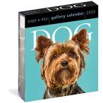 Dog Gallery 2020 Calendar【並行輸入品】