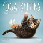Yoga Kittens 2020 Calendar【並行輸入品】
