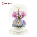  сухой цветок искусственный цветок стекло бутылка цветок орхидея фиолетовый . цветок O-Bon поддон фонарь фонарь поддон полки подарок ...[ бутылка цветок Mini купол бутылка Ran * гортензия ]. домашний алтарь.. ...