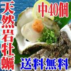  натуральный скала gaki Yamagata префектура производство 8.0kg передний и задний (до и после) kala десятая часть средний 40 шт бесплатная доставка сырой еда для скала .. скала .. подарок на Bon Festival подарок ..