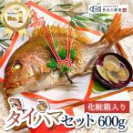 ＼new／お食い初め 鯛『タイハマセット』鯛600g(3〜4人前サイズ) 【ギフト仕様(化粧箱)】蛤のお吸い物2食 祝い鯛 山形県産